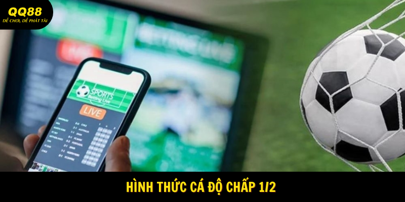 Kèo Châu Á - Cửa Cược Bóng Đá Hot Hit Tại QQ88 2 Cửa cược chấp ½ tại QQ88 khá phổ biến